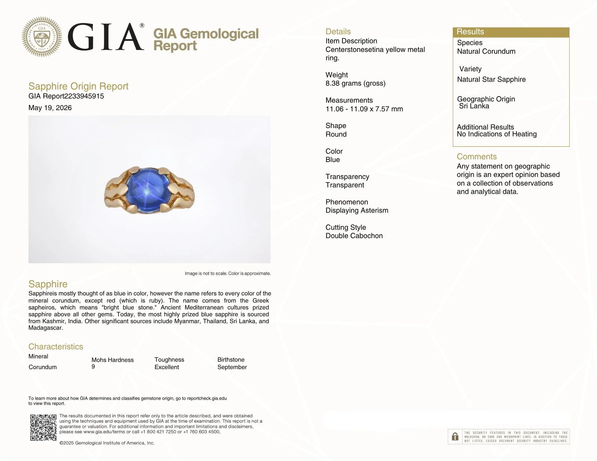 J.E. Caldwell Art Nouveau No Heat Ceylon Sapphire 14 Karat Yellow Gold Antique Unisex Vine Ring GIA - Image 9